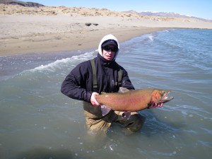 Pyramid Lake Trout graphic