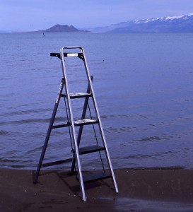 EPSON002 Pyramid Lake image