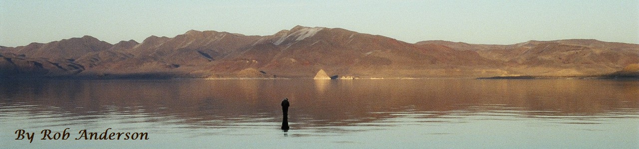 Pyramid Lake Fly Fishing