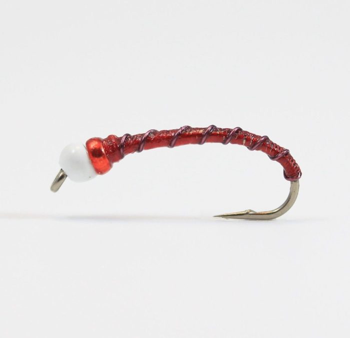 Banded Midge - Red Wine