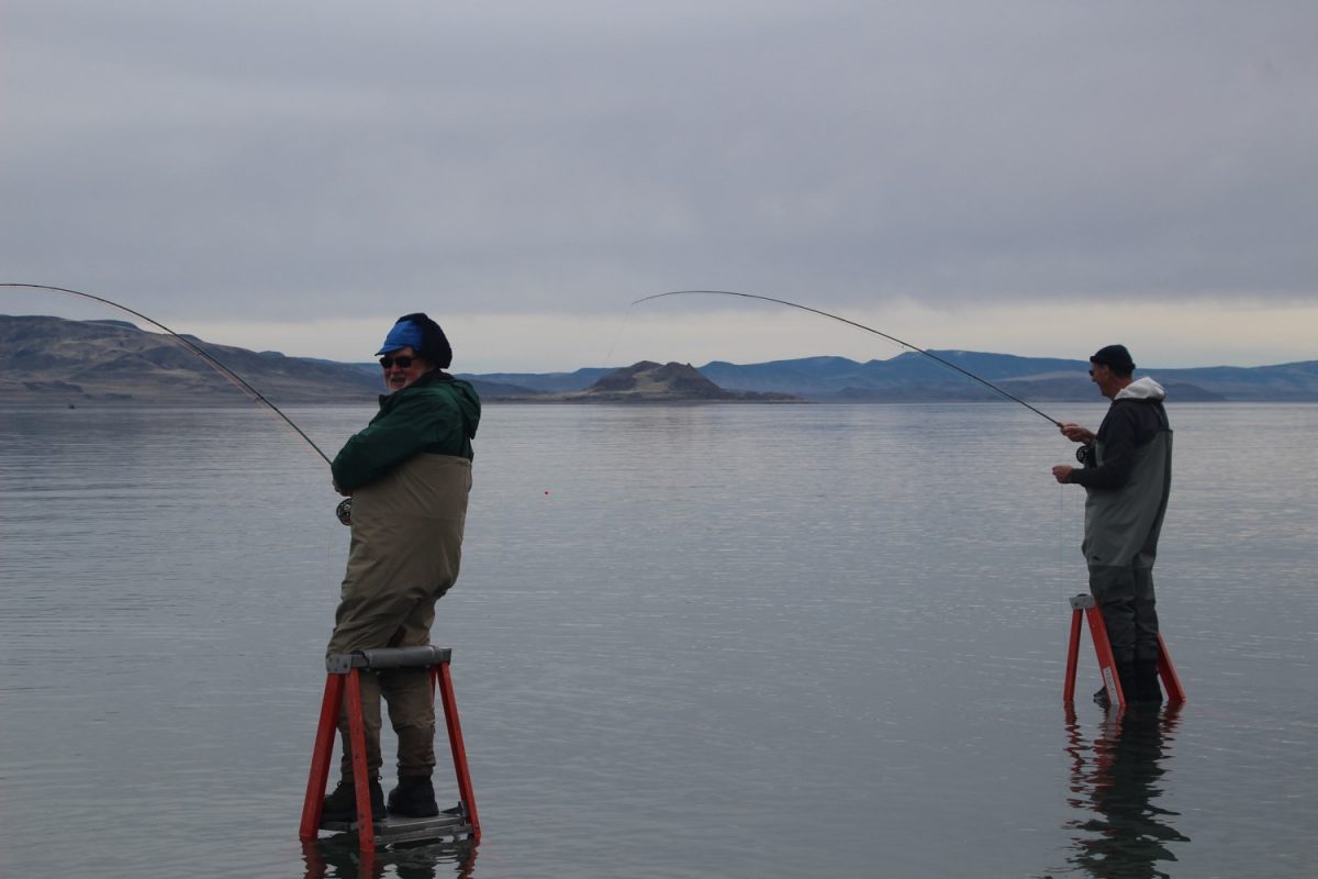 Ladder Rentals | Pyramid Lake Fly Fishing