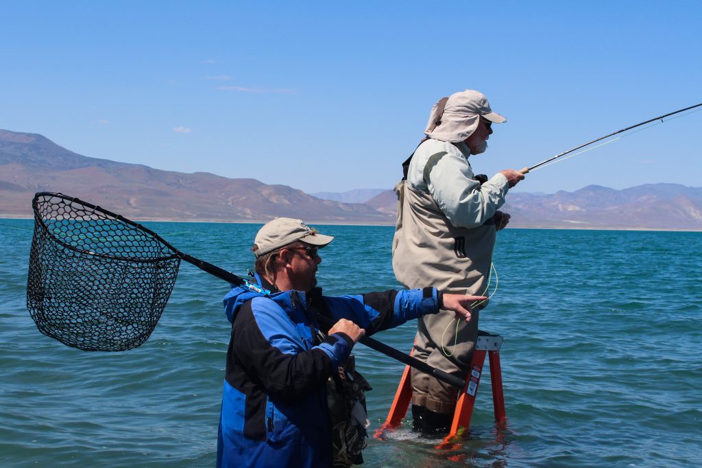 How To Use A Fishing Net THE RIGHT WAY