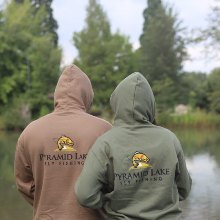 Pyramid Hoodies - Image 4
