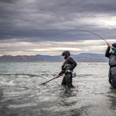 WhatsApp Image 2025-12-09 at 21.49.31