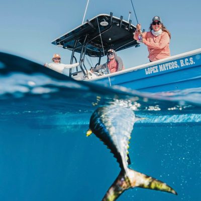 WhatsApp Image 2025-12-09 at 21.52.41 (1)