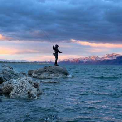 WhatsApp Image 2025-12-09 at 21.53.08 (1)