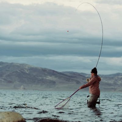 WhatsApp Image 2025-12-09 at 21.53.08