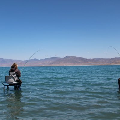 WhatsApp Image 2025-12-09 at 23.55.20